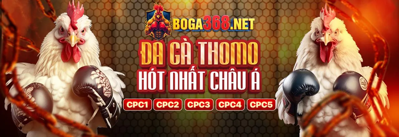 Đội ngũ chăm sóc khách hàng chuyên nghiệp của vibet chính thức