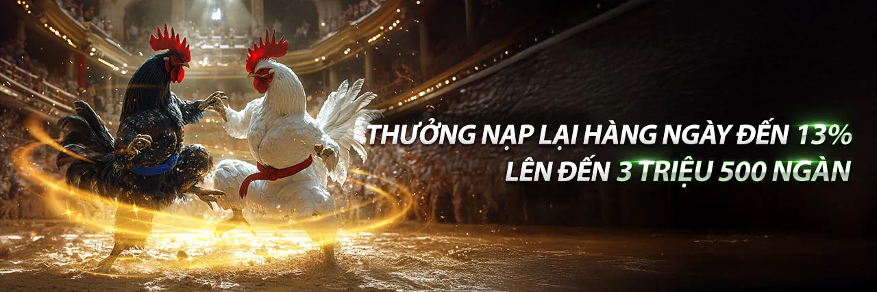 Đấu trường đá gà trực tuyến sôi động tại Vibet Chính Thức