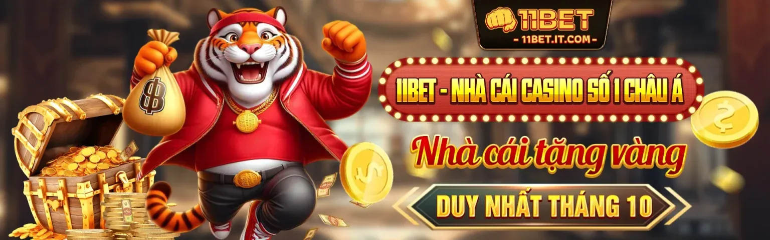 Hình ảnh chính trang blog vibet chính thức