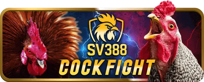 Ưu đãi VIP vibet